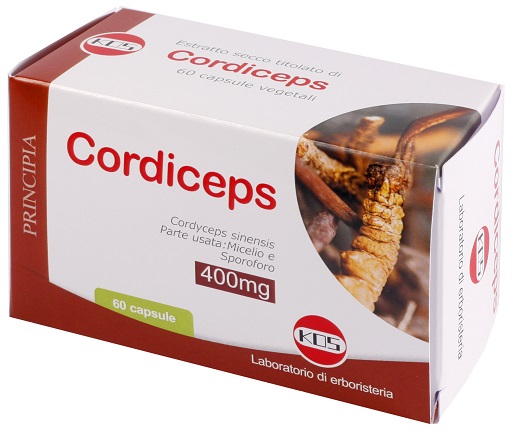 CORDICEPS ESTRATTO SECCO 60 CAPSULE - Farmadillo
