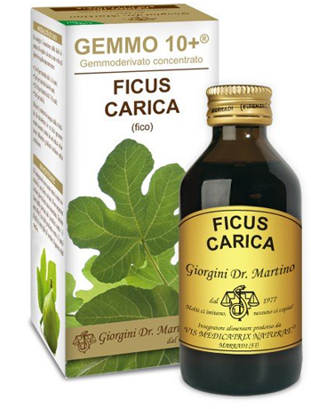 GEMMO 10+ FICO LIQUIDO ANALCOLICO 100 ML - Farmadillo