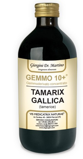 GEMMO 10+ GEMMODERIVATO CONCENTRATO LIQUIDO ANALCOLICO TAMARIX GALLICA TAMERICE 500 ML - Farmadillo