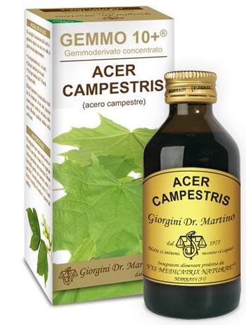 GEMMO 10+ ACERO CAMPESTRE 100 ML LIQUIDO ANALCOLICO - Farmadillo