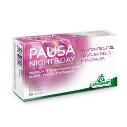 PAUSA NIGHT & DAY 80 CAPSULE - Farmadillo