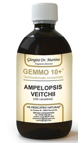 GEMMO 10+ GEMMODERIVATO CONCENTRATO LIQUIDO ANALCOLICO AMPELOPSIS VEITCHI VITE CANADESE 500 ML - Farmadillo