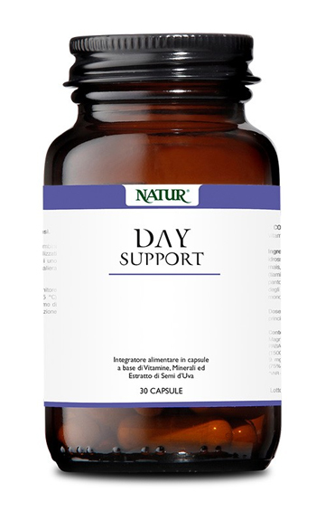 DAY SUPPORT 30 CAPSULE - Farmadillo