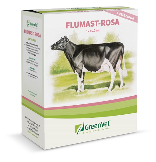 GREENVET FLUMAST ROSA DERM 12 SIRINGHE DA 10 ML - Farmadillo