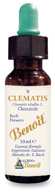 FIORI DI BACH BENOIT CLEMATIS 10 ML - Farmadillo