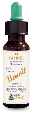 FIORI DI BACH BENOIT GORSE 10 ML - Farmadillo