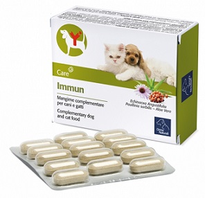 IMMUN 60 COMPRESSE - Farmadillo