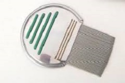 PETTINE ACCIAIO PER RIMOZIONE PIDOCCHI - Farmadillo