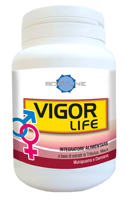 VIGOR LIFE 40 CAPSULE - Farmadillo