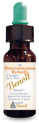 DETERMINATION REMEDY 28 ML - Farmadillo