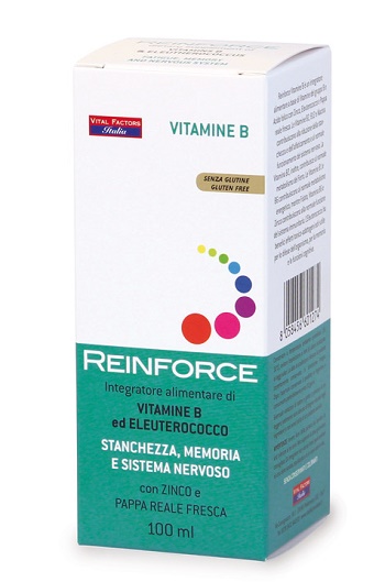 REINFORCE VITAMINA B 100 ML - Farmadillo