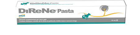 DIRENE PASTA 15 ML - Farmadillo
