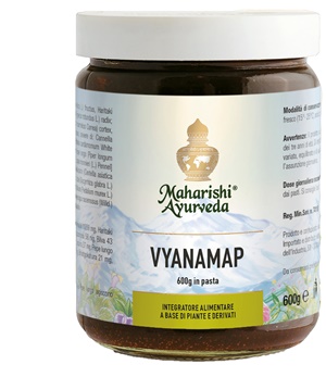 VYANAMAP PASTA 600 G - Farmadillo