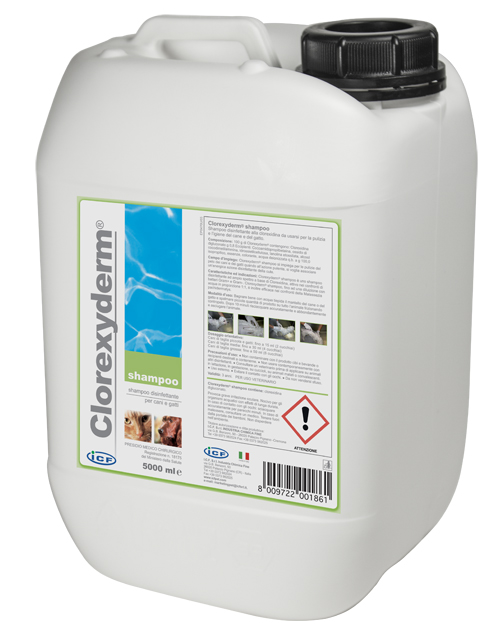 CLOREXYDERM SHAMPOO 5 LITRI - Farmadillo