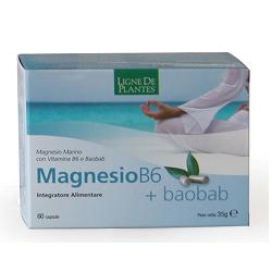 MAGNESIO B6 + BAOBAB 60 CAPSULE - Farmadillo