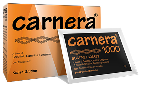 CARNERA 1000 18 BUSTINE - Farmadillo