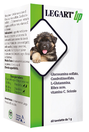 LEGART UP 60 COMPRESSE DA 1 G - Farmadillo