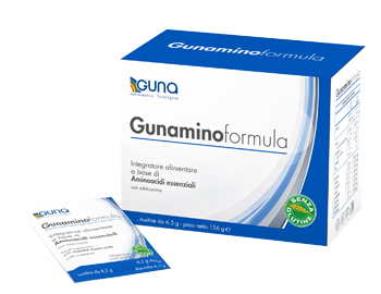GUNAMINOFORMULA 42 BUSTINE 273 G - Farmadillo