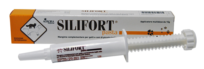 SILIFORT PASTA OS SIRINGA 15 G - Farmadillo