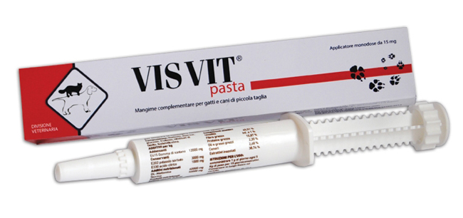 VISVIT PASTA OS SIRINGA 15 G - Farmadillo