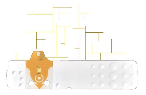 STRISCE MISURAZIONE GLICEMIA LINEA D ORO 25 PEZZI - Farmadillo