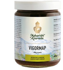 VIGORMAP PASTA 600 G - Farmadillo