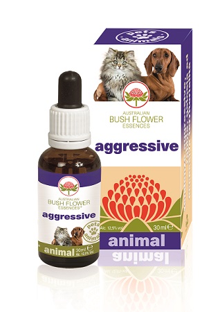 AGGRESSIVE 30 ML - Farmadillo