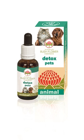 DETOX PETS 30 ML - Farmadillo