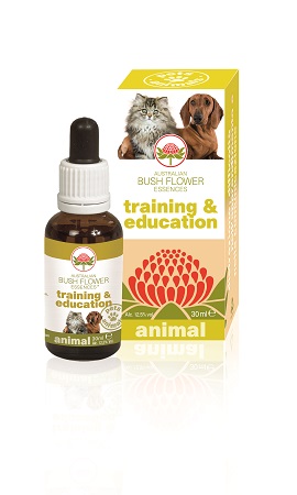TRAINING & EDUCATION 30 ML - Farmadillo