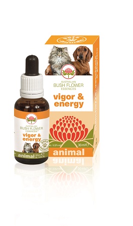 VIGOR & ENERGY 30 ML - Farmadillo