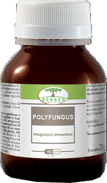 POLYFUNGUSS 60 CAPSULE 350 MG - Farmadillo
