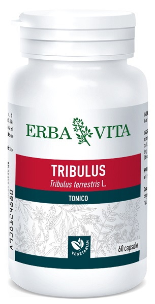 TRIBULUS TERRESTRIS 60 CAPSULE 500 MG - Farmadillo