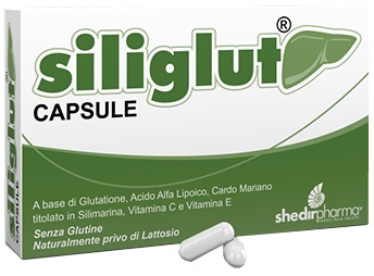 SILIGLUT 20 CAPSULE - Farmadillo