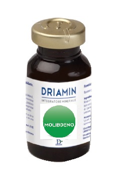 DRIAMIN MOLIBDENO 15 ML - Farmadillo
