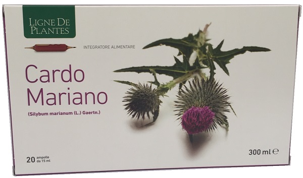 CARDO MARIANO 20 AMPOLLE BEVIBILI DA 15 ML - Farmadillo