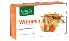WITHANIA 60 CAPSULE - Farmadillo