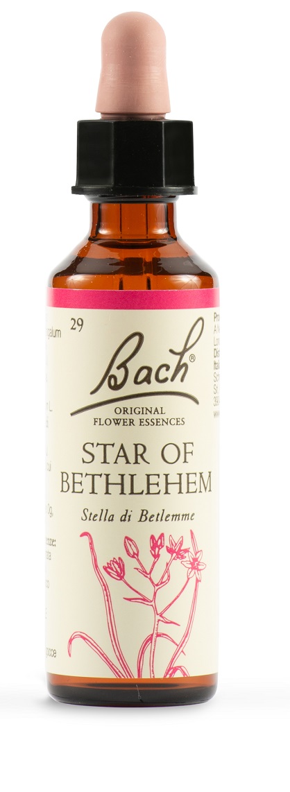 STAR OF BETHL ORIG 20 ML - Farmadillo