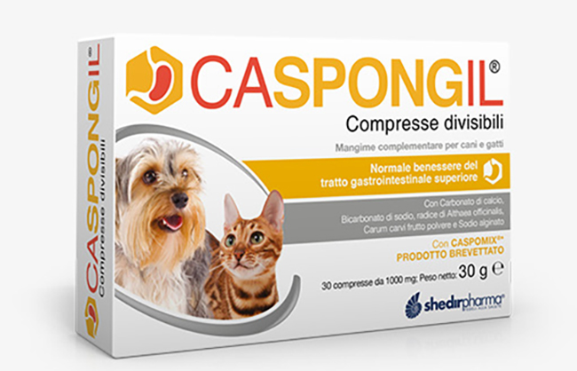 CASPONGIL 30 COMPRESSE DIVISIBILI - Farmadillo