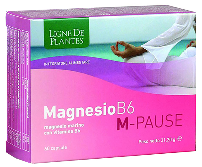 MAGNESIO B6 M-PAUSE 60 CAPSULE - Farmadillo