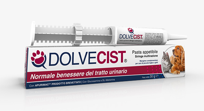 DOLVECIST PASTA SIRINGA 30 G - Farmadillo