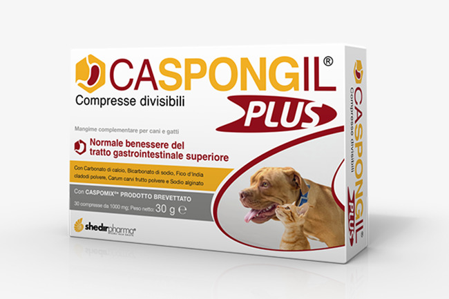 CASPONGIL PLUS 30 COMPRESSE - Farmadillo