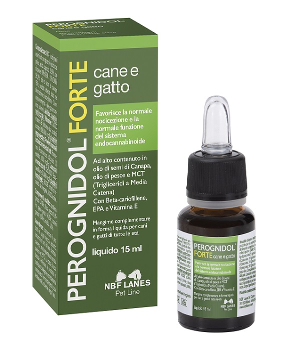 PEROGNIDOL FORTE 15 ML - Farmadillo
