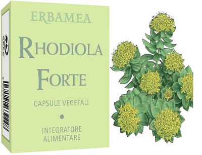 RHODIOLA FORTE 24 CAPSULE - Farmadillo