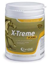 X-TREME FLAME POLVERE BARATTOLO 450 G - Farmadillo
