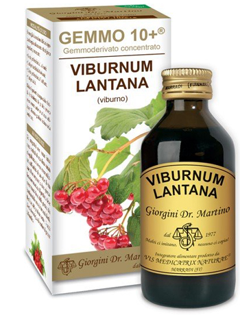 VIBURNO LIQUIDO ANALCOLICO GEMMO 10+ 100 ML - Farmadillo