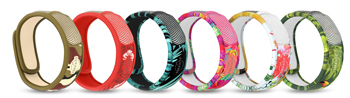 PARAKITO EFAS BRACCIALETTO GRAFFIC JUNGLE PLUS - Farmadillo