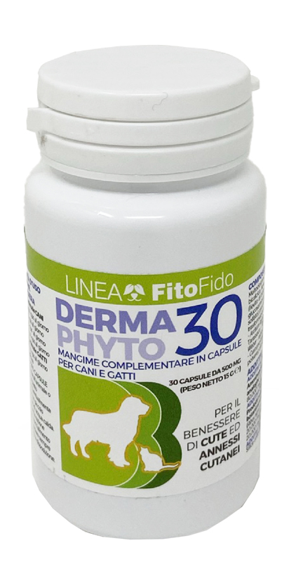 DERMAPHYTO 30 CAPSULE - Farmadillo