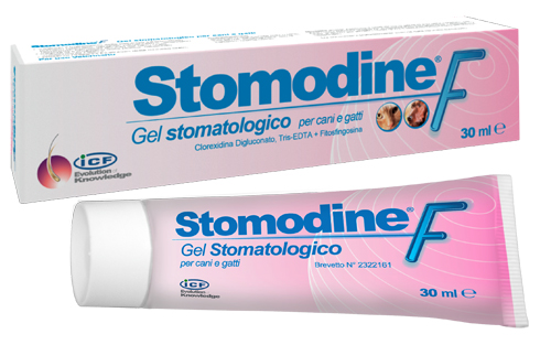 STOMODINE F 30 ML - Farmadillo