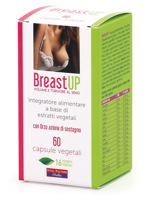 BREAST UP 60 CAPSULE - Farmadillo