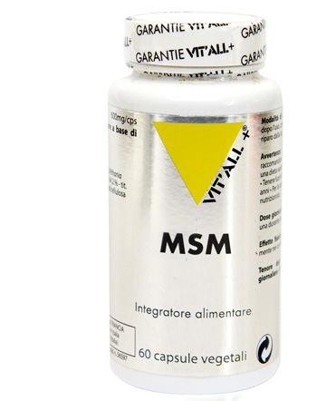 MSM 60 CAPSULE - Farmadillo
